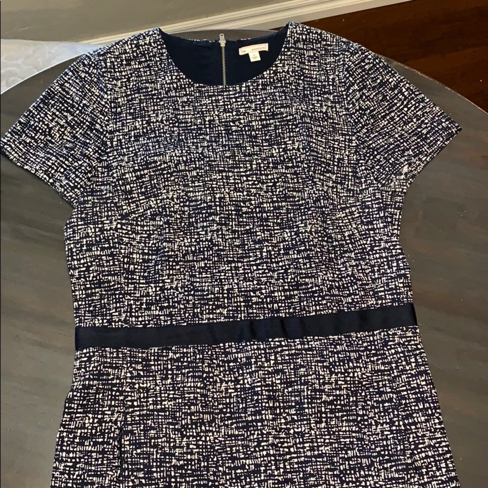 Navy and White Gap Dress